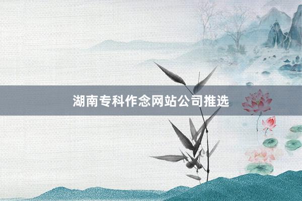 湖南专科作念网站公司推选