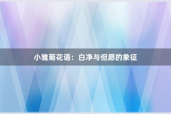 小雏菊花语：白净与但愿的象征